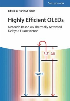 Cover Highly Efficient OLEDs (eBook, ePUB)