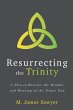 Resurrecting the Trinity (eBook, ePUB) - Bild 1