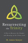 Resurrecting the Trinity (eBook, ePUB)