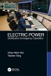 Electric Power (eBook, PDF) - Bild 1