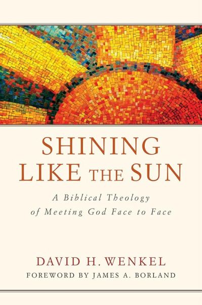 Shining Like the Sun (eBook, ePUB) Shining Like the Sun (eBook, ePUB)
