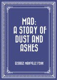Mad: A Story of Dust and Ashes (eBook, ePUB)