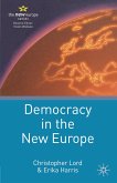 Democracy in the New Europe (eBook, PDF)
