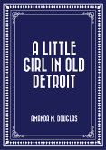 A Little Girl in Old Detroit (eBook, ePUB)