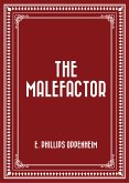 The Malefactor (eBook, ePUB)