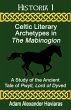 Celtic Literary Archetypes in The... - Bild 1