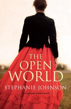 The Open World (eBook, ePUB) - Johnson, Stephanie