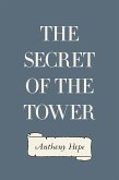 The Secret of the Tower (eBook, ePUB)