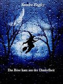 Das Böse kam in der Dunkelheit (eBook, ePUB)