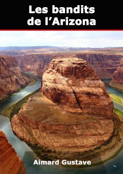 Les bandits de l'Arizona (eBook, ePUB)