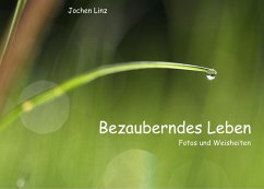 Bezauberndes Leben (eBook, ePUB)