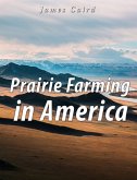 Prairie Farming in America (eBook, ePUB)