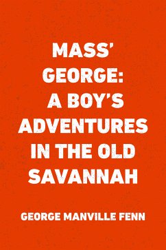 Mass' George: A Boy's Adventures in the Old Savannah (eBook, ePUB) - Manville Fenn, George