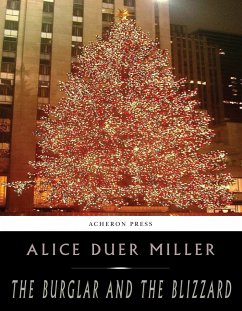 The Burglar and the Blizzard (eBook, ePUB) - Duer Miller, Alice