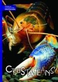 Crustaceans Crustaceans