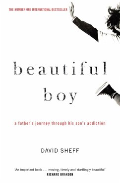 Beautiful Boy - Sheff, David