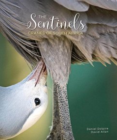 The Sentinels: Cranes of South Africa - Allan, David