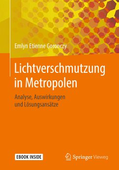 Lichtverschmutzung in Metropolen (eBook, PDF) - Goronczy, Emlyn Etienne