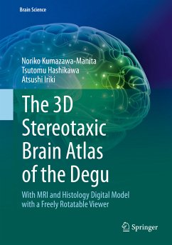 The 3D Stereotaxic Brain Atlas of the Degu (eBook, PDF) - Kumazawa-Manita, Noriko; Hashikawa, Tsutomu; Iriki, Atsushi