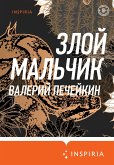 Злой мальчик (eBook, ePUB)