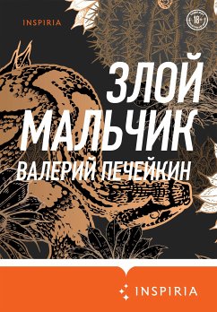 Злой мальчик (eBook, ePUB) - Печейкин, Валерий