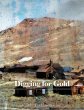 Digging for Gold (eBook, ePUB) - Bild 1