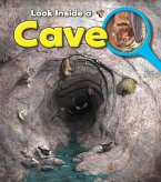 Cave (eBook, PDF)