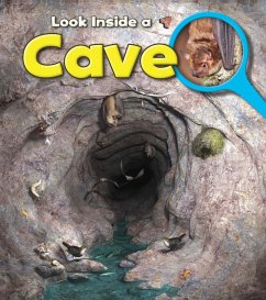 Cave (eBook, PDF) - Spilsbury, Richard
