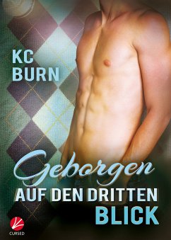 Geborgen auf den dritten Blick (eBook, ePUB) - Burn, KC