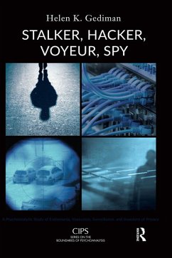 Cover Stalker, Hacker, Voyeur, Spy (eBook, PDF)