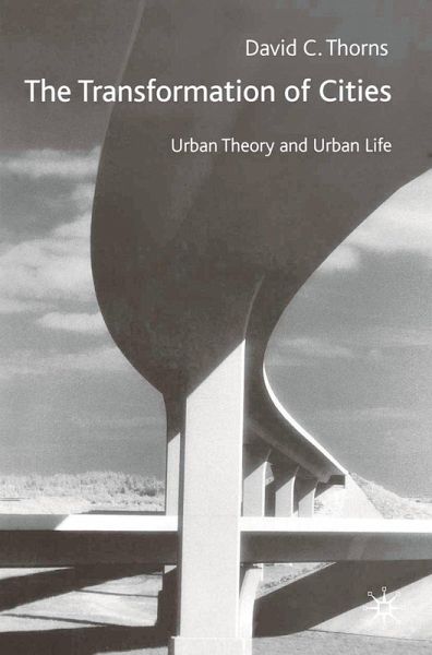 The Transformation of Cities (eBook, PDF)