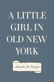 A Little Girl in Old New York (eBook, ePUB)