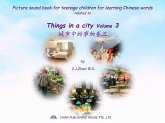 Picture sound book for teenage children for learning Chinese words related to Things in a city Volume 3 (eBook, ePUB)