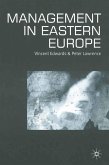 Management in Eastern Europe (eBook, PDF)