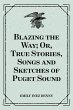 Blazing the Way; Or, True Stories,... - Bild 1