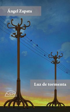 Luz de tormenta (eBook, ePUB) - Zapata, Ángel