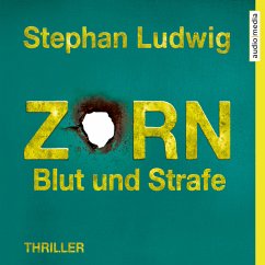 Zorn - Blut und Strafe / Hauptkommissar Claudius Zorn Bd.8 (MP3-Download) - Ludwig, Stephan