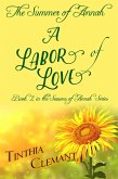 The Summer of Annah: A Labor of Love (The Seasons of Annah, #2) (eBook, ePUB)