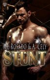 Stunt (eBook, ePUB)