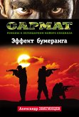 Эффект бумеранга (eBook, ePUB)