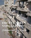 Die Straßen von Aleppo (eBook, ePUB)
