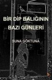 Bir Dip Baliginin Bazi