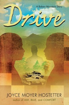 Drive (eBook, ePUB) - Hostetter, Joyce Moyer