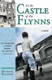 In the Castle of the Flynns (eBook, ePUB)