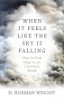 When It Feels Like the Sky Is Falling... - Bild 1