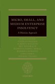 Micro, Small, and Medium Enterprise Insolvency (eBook, PDF)