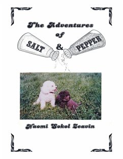 The Adventures of Salt & Pepper (eBook, ePUB) - Zeavin, Naomi Sokol