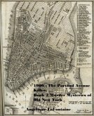 1900 - The Portand Avenue Killer: Book 2 (Murder Mysteries of Old New York) (eBook, ePUB) 1900 - The Portand Avenue Killer: Book 2 (Murder Mysteries of Old New York) (eBook, ePUB)
