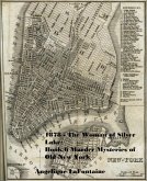 1878 - The Woman of Silver Lake: Book 6 (Murder Mysteries of Old New York) (eBook, ePUB)