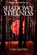 Shadowy Stillness (eBook, ePUB) - Bild 1